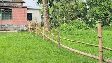 আশুলিয়ায় বিধবার জমি দখলে নেয়ার অভিযোগ
