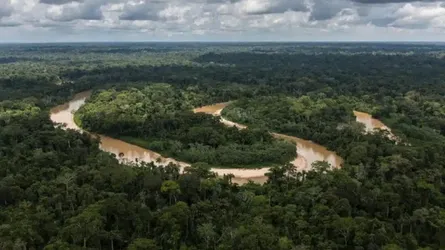 ২ বছরের খরার পর আমাজনে পানির স্তর বেড়েছে