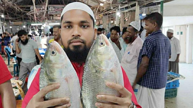 Amir Hossain