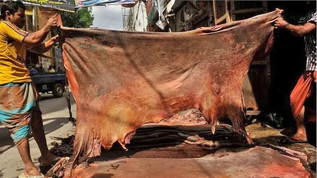 চামড়া বাজারে ধসের মূল কারণ বিশ্লেষণ
