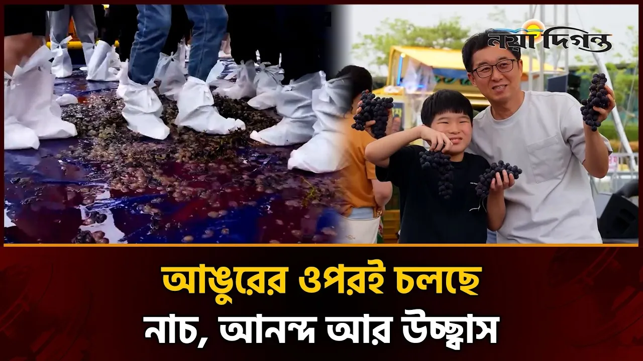 দক্ষিণ কোরিয়ায় পা দিয়ে আঙুর মাড়ানোর ব্যতিক্রমী উৎসব