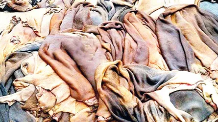 চামড়া শিল্পের সম্ভাবনা কাজে লাগাতে হবে