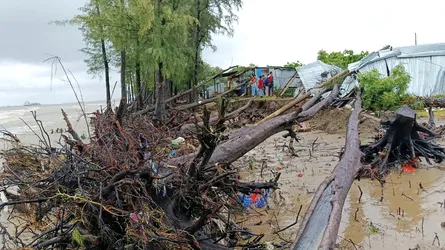 পারকি সৈকতে ঢেউয়ের তাণ্ডব, উপড়ে পড়েছে শত শত ঝাউগাছ