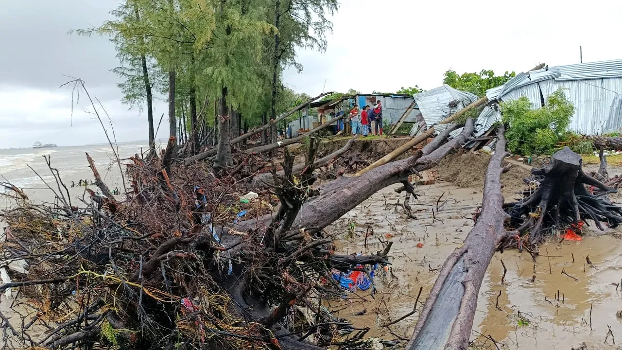 পারকি সৈকতে ঢেউয়ের তাণ্ডব, উপড়ে পড়েছে শত শত ঝাউগাছ