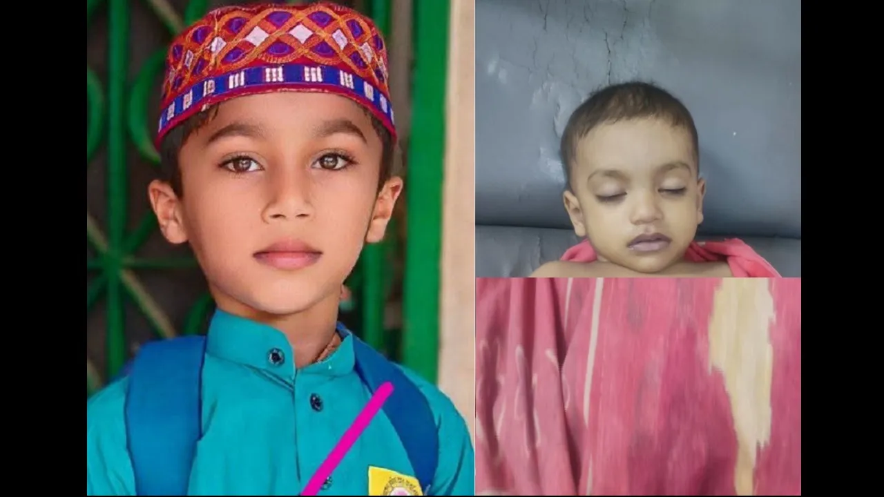 মিরসরাইয়ে পানিতে ডুবে ২ শিশুর মৃত্যু