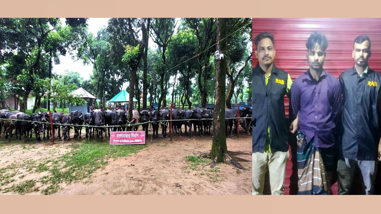 Attack-on-BGB-at-Sylhet-border