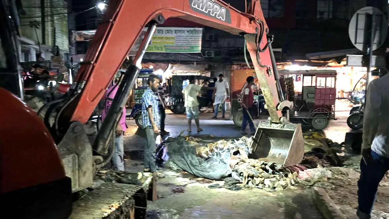 ব্রাহ্মণবাড়িয়ায় সড়কে ফেলে রাখা কোরবানির চামড়া অপসারণ