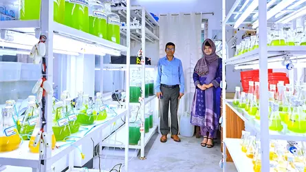 বাকৃবির গবেষণায় অণুশৈবাল থেকে স্বল্পব্যয়ী মাছের খাদ্য উদ্ভাবন