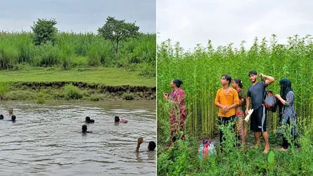 কুষ্টিয়া সীমান্তে ৮ জনকে পুশইনের চেষ্টা, প্রতিহত করল বিজিবি