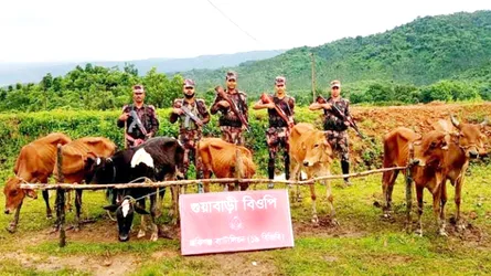 সিলেট সীমান্তে ভারতীয় গরু-মহিষ জব্দ
