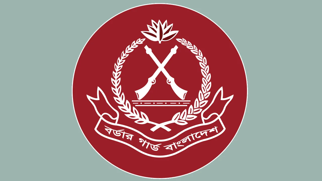 মার্চে বিজিবি অভিযানে ১৬৫ কোটি টাকার চোরাচালান জব্দ