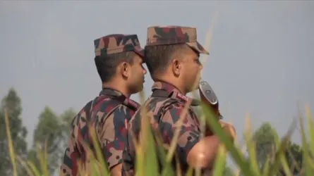 সীমান্তে কুমিরের চামড়া ও সাপের বিষের বাণিজ্যের শঙ্কা বিজিবির