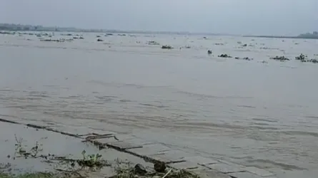 ভূরুঙ্গামারীতে বিপদসীমার দুই সেন্টিমিটার নিচে দুধকুমারের পানি