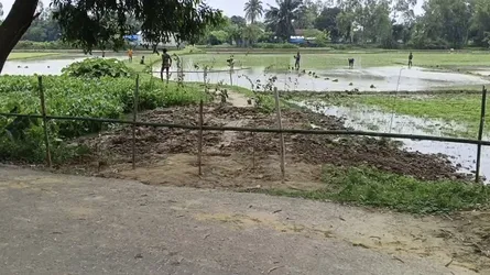 তাড়াশে ৩০ বছরের রাস্তা বন্ধ করলেন বিএনপি নেতা