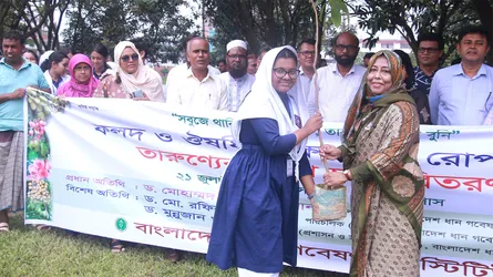 তারুণ্য উৎসবে ব্রি’তে বৃক্ষরোপণ ও চারা বিতরণ