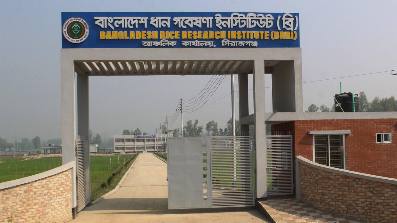 বাংলাদেশ ধান গবেষণা ইনস্টিটিউট