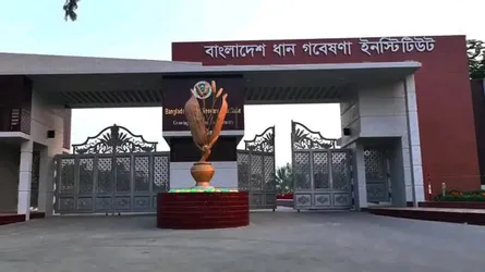 ব্রি’তে আবহাওয়া-ভিত্তিক কৃষি পরামর্শ প্রচারে মিডিয়ার ভূমিকা বিষয়ক কর্মশালা