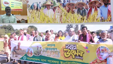 ব্রি’তে বর্ণাঢ্য আয়োজনে নবান্ন উৎসব
