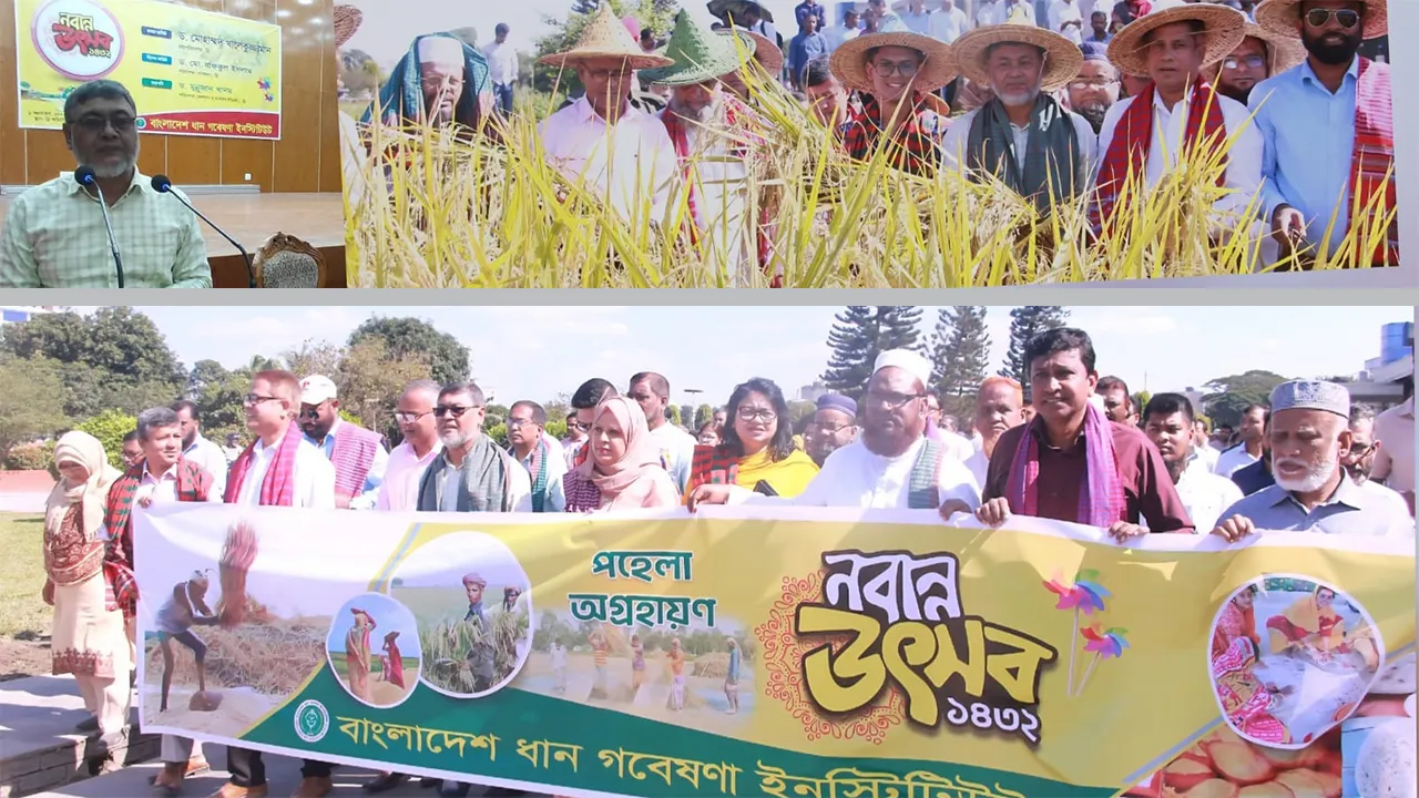 ব্রি’তে বর্ণাঢ্য আয়োজনে নবান্ন উৎসব