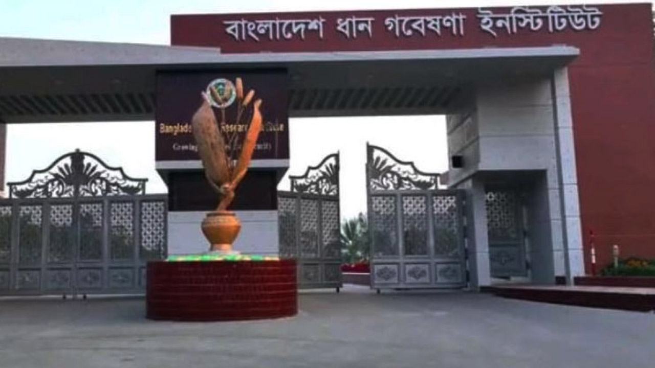ব্রি’তে পদোন্নতি ও নিয়োগ প্রক্রিয়ার নিয়ে নতুন অস্থিরতার আশঙ্কা