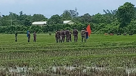 আখাউড়া সীমান্তে বাংলাদেশীদের গরু নিয়ে গেল বিএসএফ