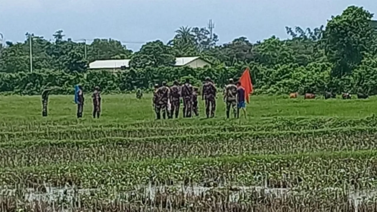 আখাউড়া সীমান্তে বাংলাদেশীদের গরু নিয়ে গেল বিএসএফ