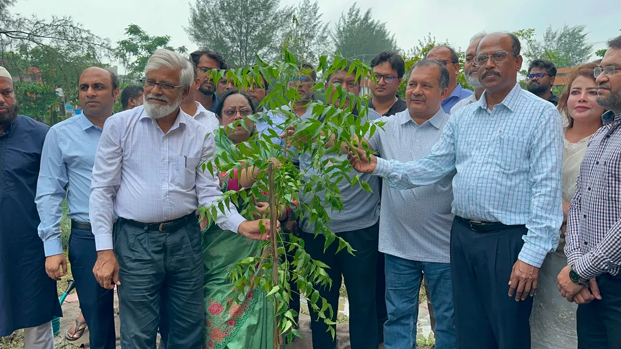 গণতান্ত্রিক লক্ষ্য অর্জনে সামাজিক সংগঠনের ভূমিকা অনস্বীকার্য