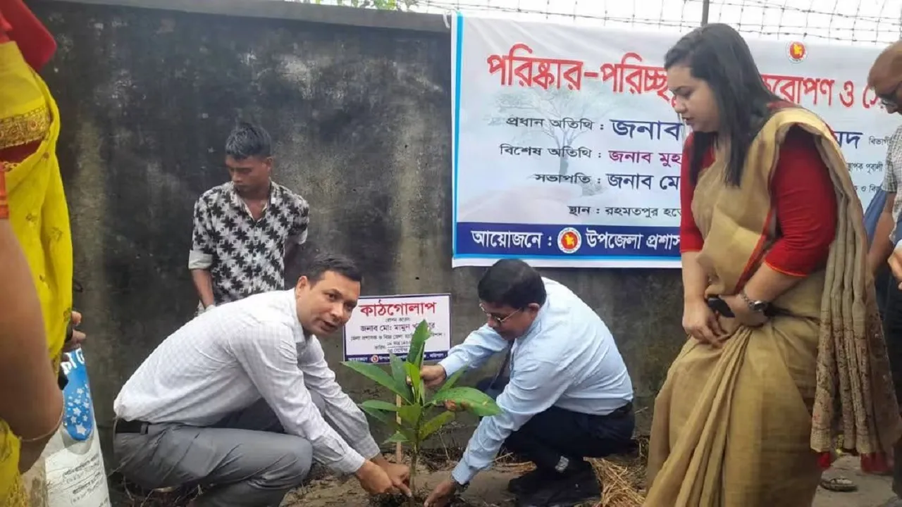 সবুজে সাজছে বাবুগঞ্জ, বৃক্ষরোপণ ও সৌন্দর্যবর্ধনে ব্যতিক্রমী উদ্যোগ
