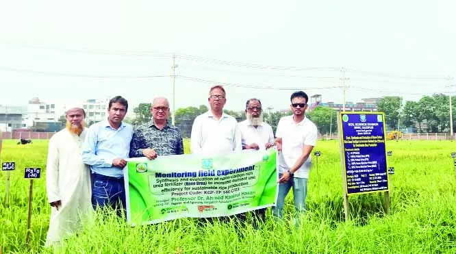 ধান চাষে বাকৃবির উদ্ভাবিত ন্যানো ইউরিয়া প্রযুক্তির সাফল্য