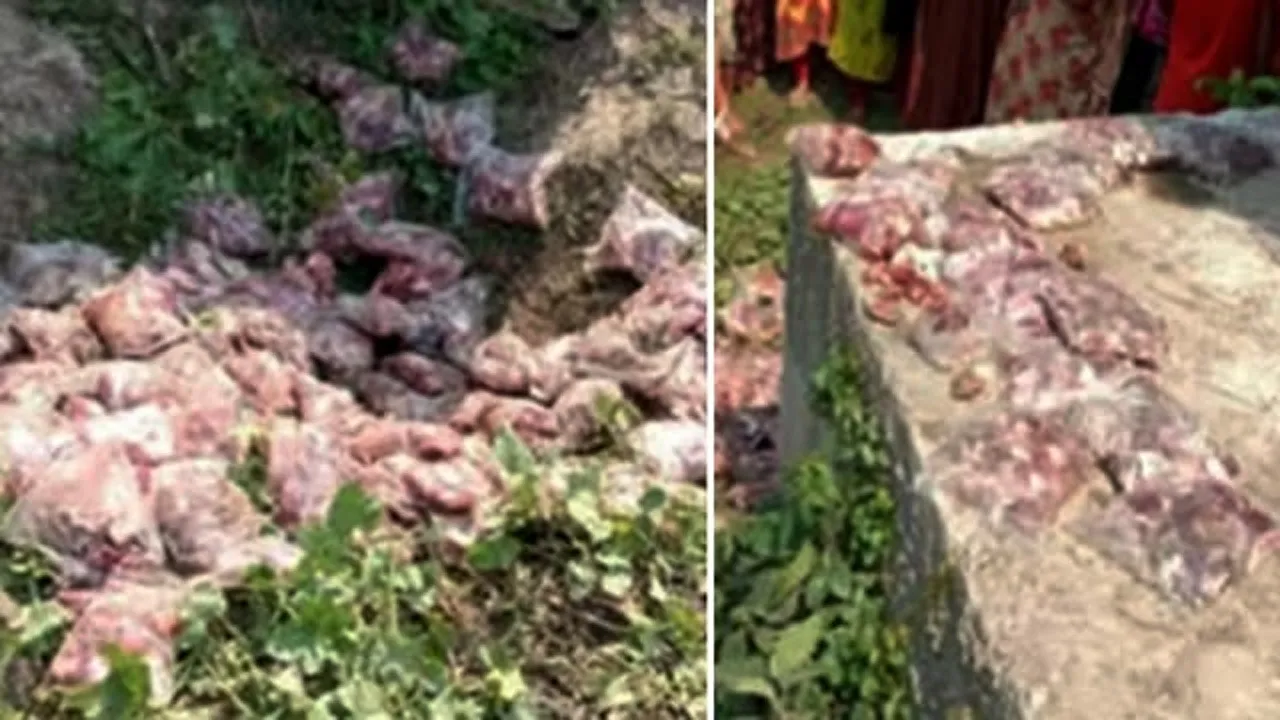 বদলগাছীতে ব্রীজের নিচ থেকে ৮৪ প্যাকেট গোশত উদ্ধার