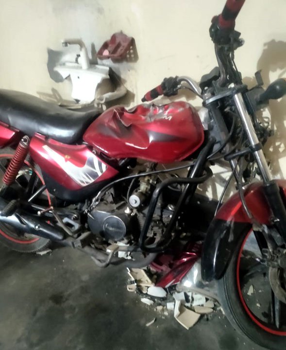 Bagha
