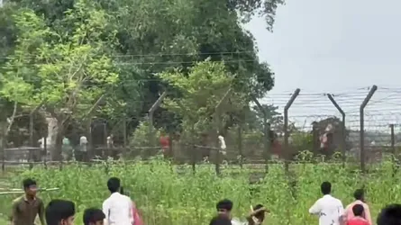 বকশীগঞ্জ সীমান্তে পুশইনকে কেন্দ্র করে ভারত-বাংলাদেশ ইটপাটকেল নিক্ষেপ