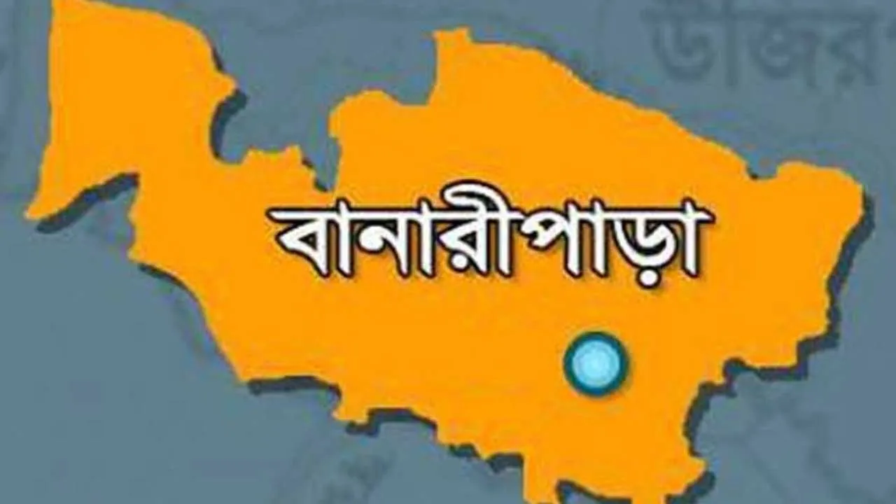 বানারীপাড়ায় নিষেধাজ্ঞা অমান্য করে ইলিশ শিকার, ৩ জেলের কারাদণ্ড