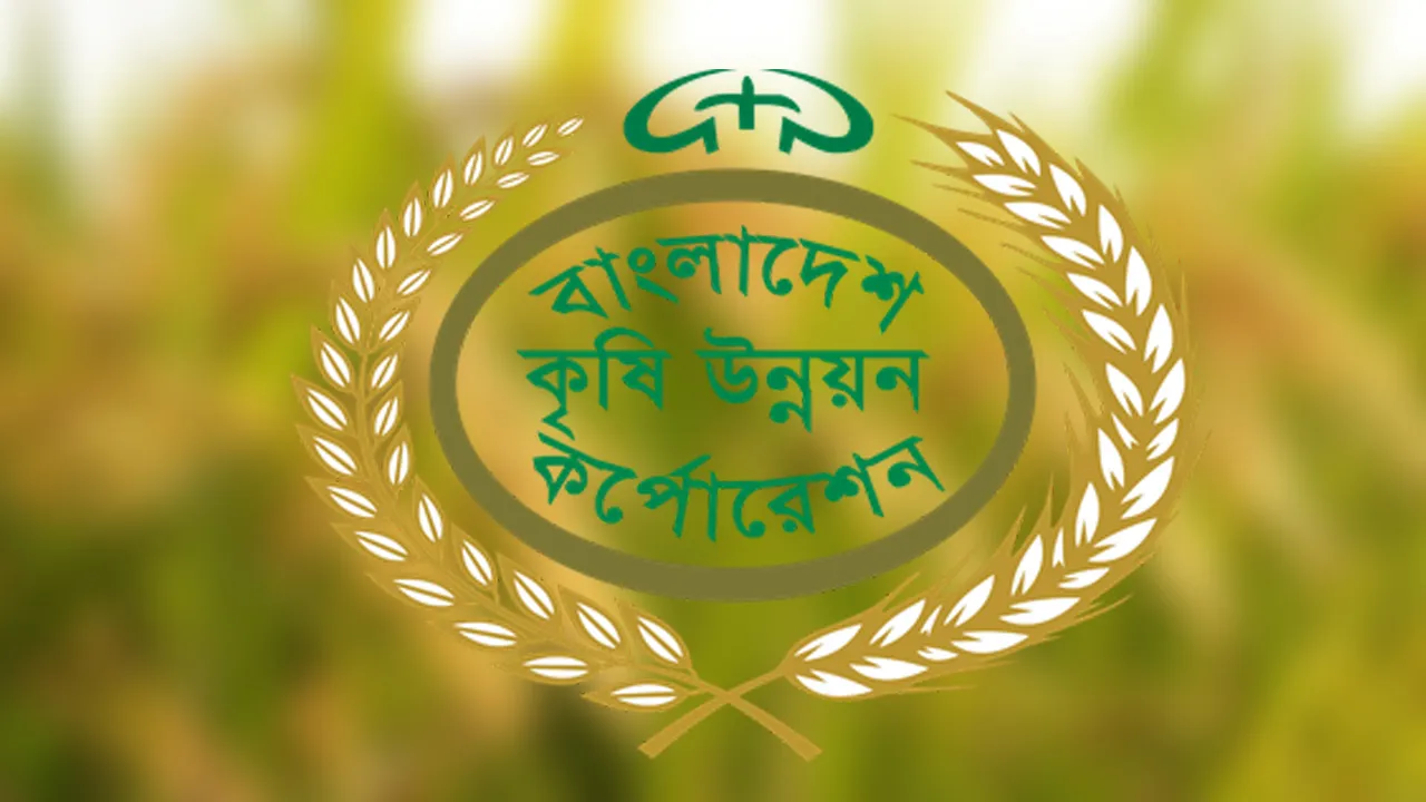 যশোরে বিএডিসির বীজ কিনছেন না কৃষক, ক্ষতিতে ডিলার