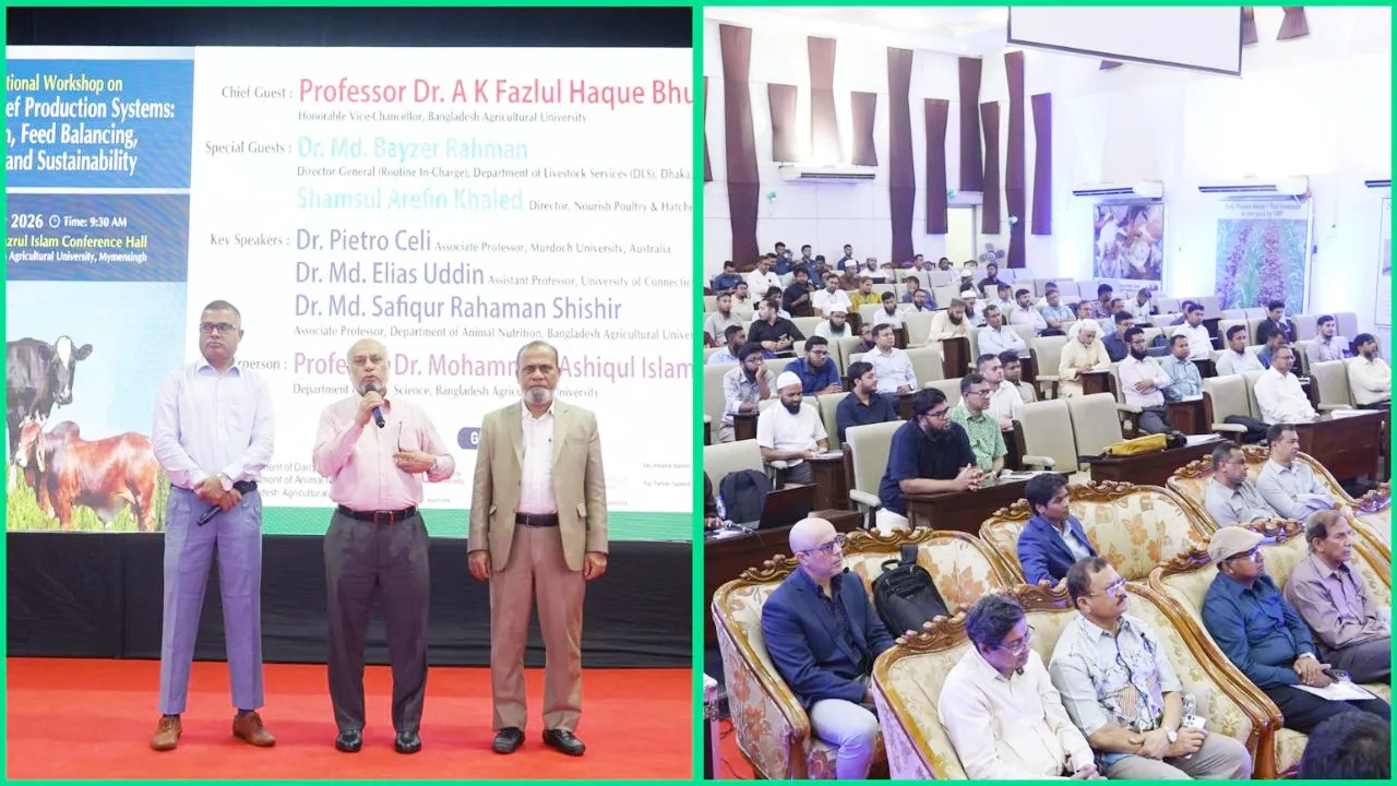 বাকৃবিতে দুগ্ধ ও গরুর গোশত উৎপাদন ব্যবস্থাবিষয়ক আন্তর্জাতিক কর্মশালার উদ্বোধন