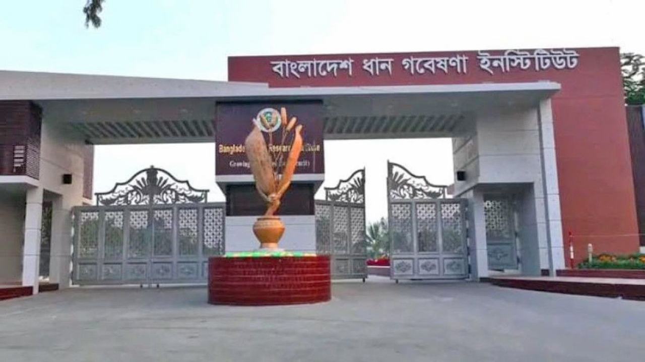 Bangladesh-Rice-Research-Institute
