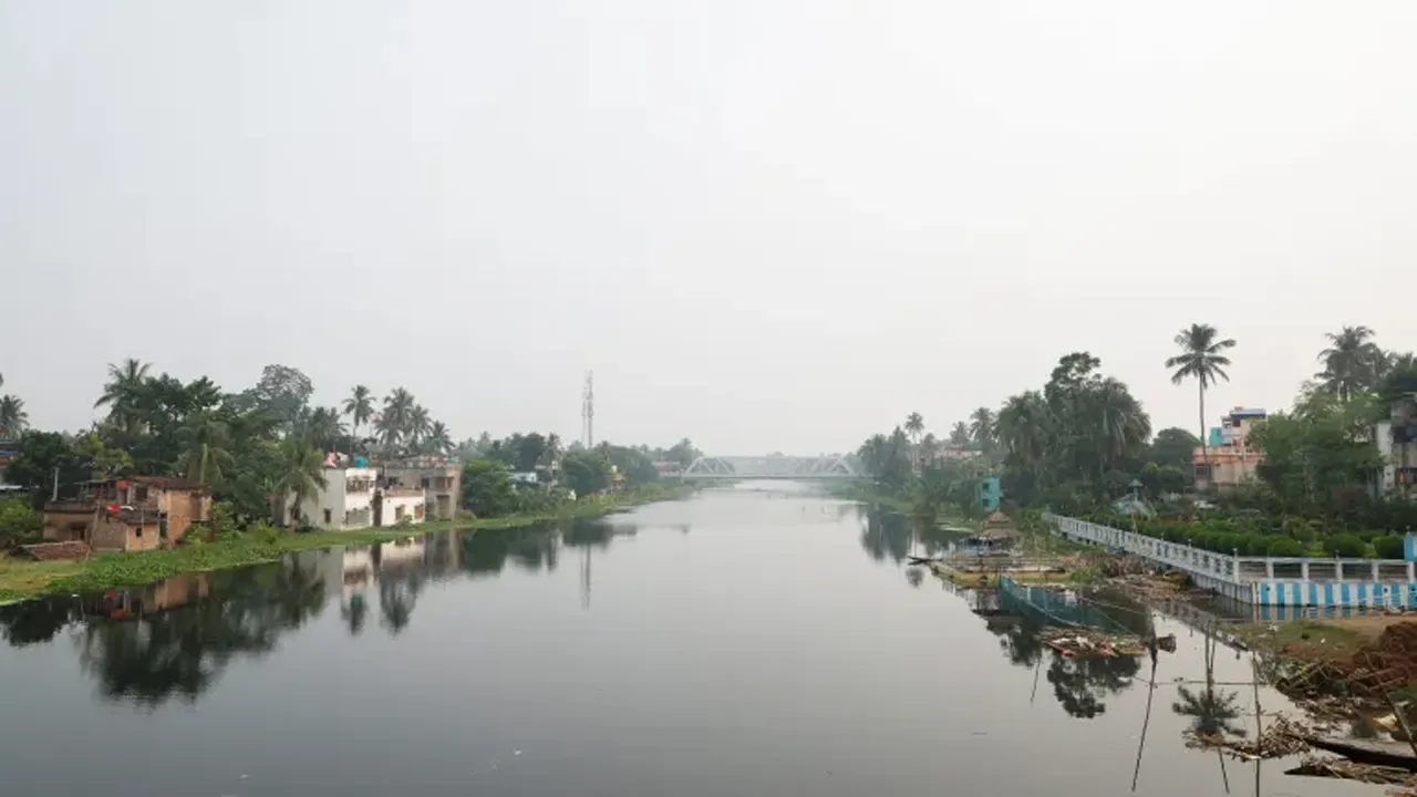 সীমান্তে মানুষ মারতে কুমির ও বিষধর সাপ ছাড়ছে ভারত