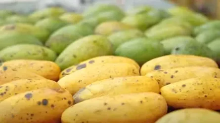 রফতানি বাড়াতে কাঠমান্ডুতে বাংলাদেশের আম প্রদর্শনী