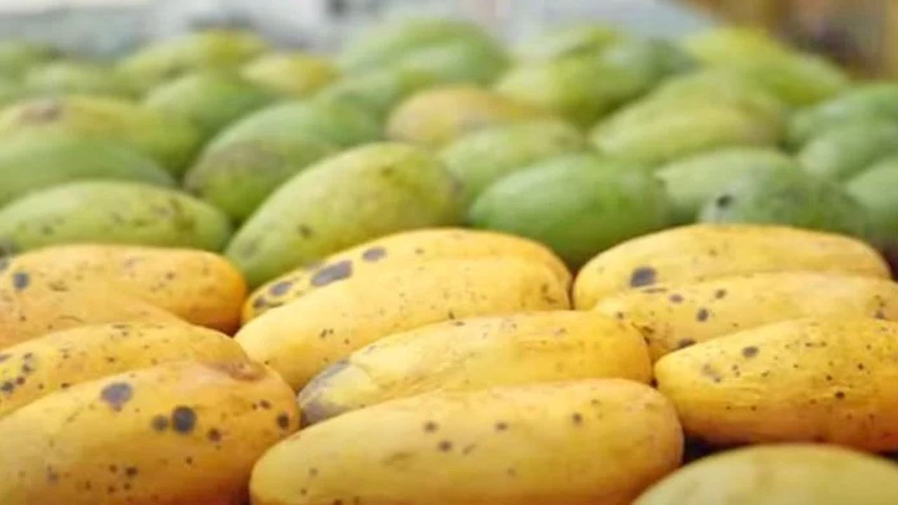 Bangladesh-mango-exhibition-in-Kathmandu-to-boost-exports