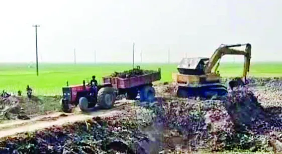 নলডাঙ্গায় ১০ বছরে কমেছে প্রায় ৮০০ বিঘার বেশি কৃষিজমি