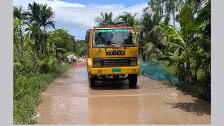 মৌখাড়া-আহম্মেদপুর সড়কের বেহাল দশা, দুই উপজেলাবাসীর দুর্ভোগ
