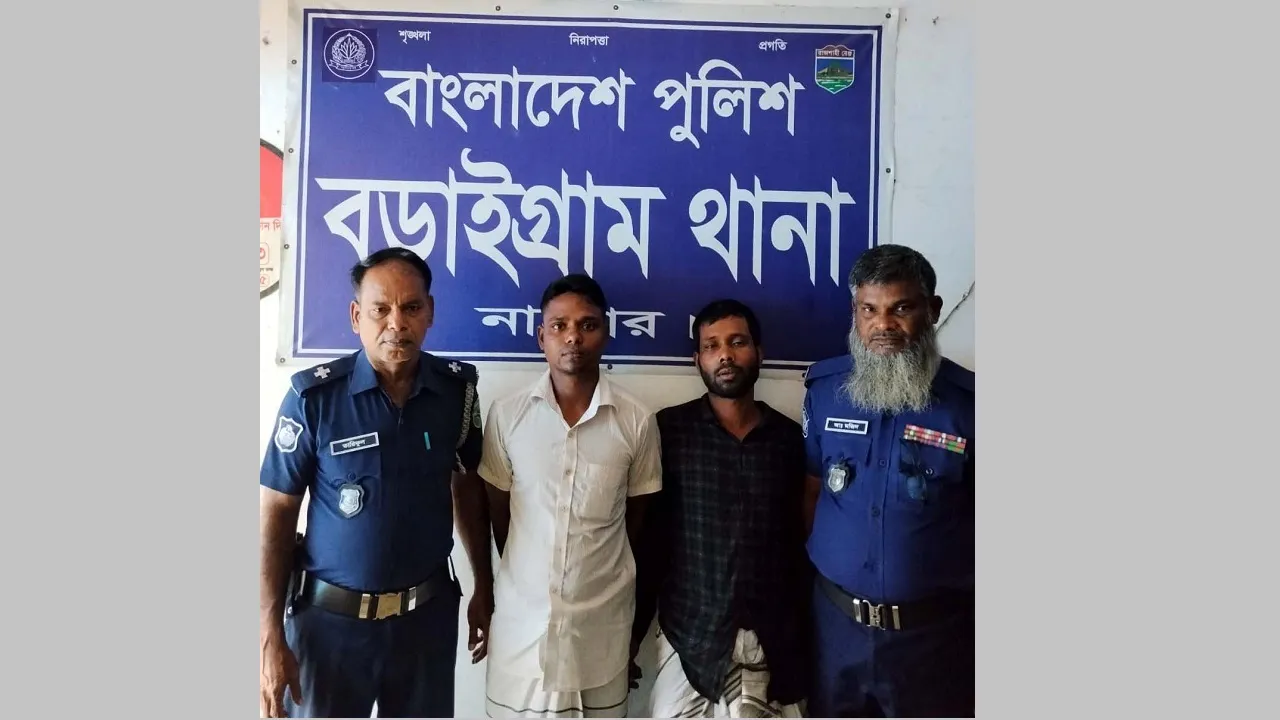 বড়াইগ্রামে চুরির ৮ ঘণ্টার মধ্যে তিন গরু-মহিষ উদ্ধার : গ্রেফতার ১