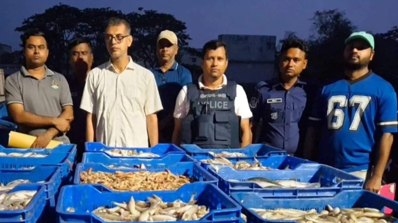 বরগুনায় সামুদ্রিক মাছসহ ট্রলার জব্দ