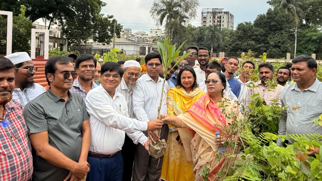 বরিশাল সিটি করপোরেশনের ২০ হাজার বৃক্ষ বিতরণ