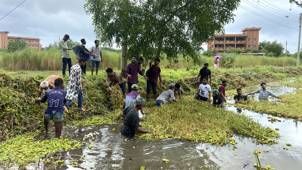 বরিশাল বিশ্ববিদ্যালয়ে ছাত্রদলের পরিচ্ছন্নতা অভিযান