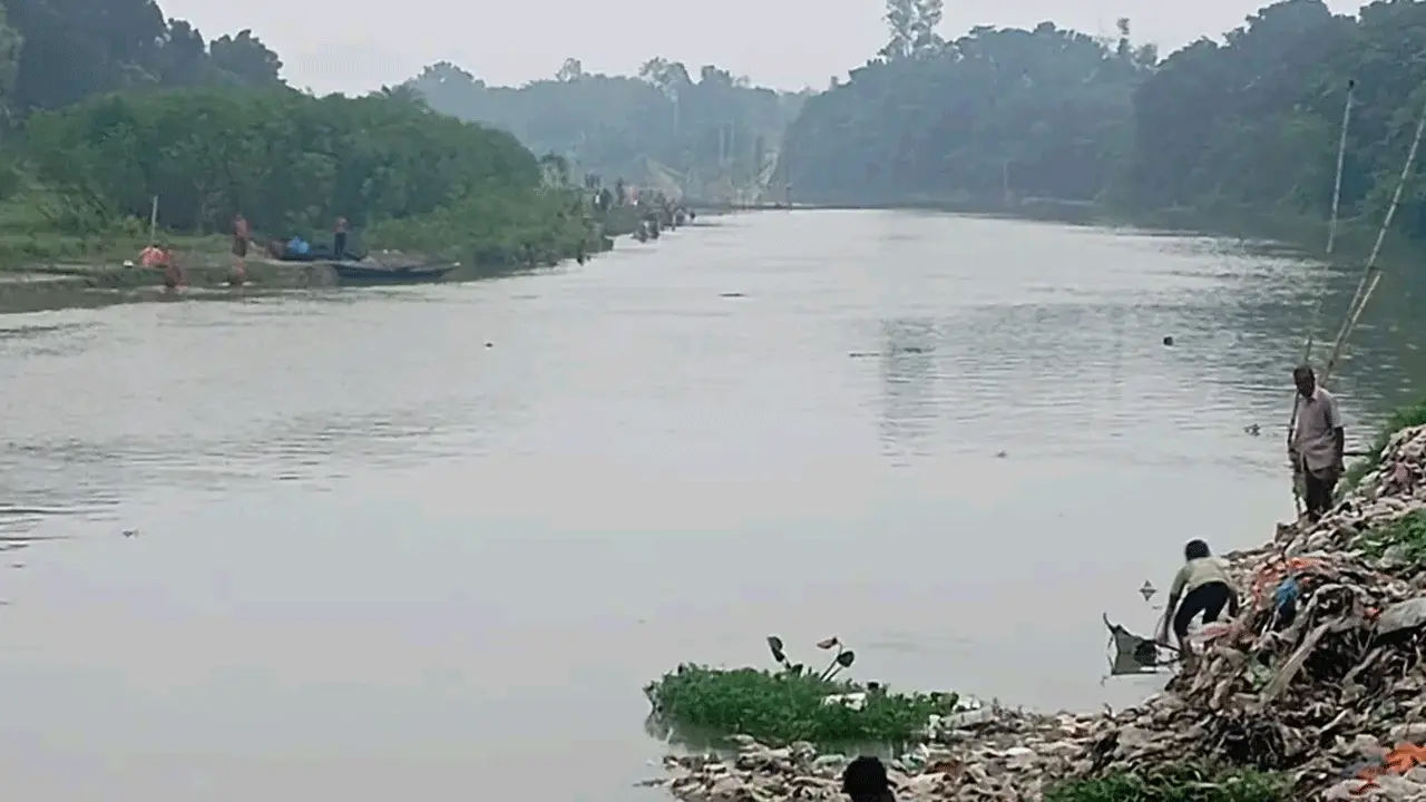 বারনই নদে অ্যামোনিয়ার পরিমাণ বেড়ে যাওয়ায় মাছ মরে ভেসে উঠে
