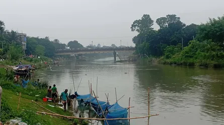 নলডাঙ্গায় বারনই নদে অ্যামোনিয়ার পরিমাণ বেড়ে যাওয়ায় মাছের মড়ক