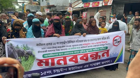 বাউফলে খাস জমিতে মহিষ চড়াতে চাঁদা : ছাত্রদল নেতার গ্রেফতারের দাবিতে মানববন্ধন