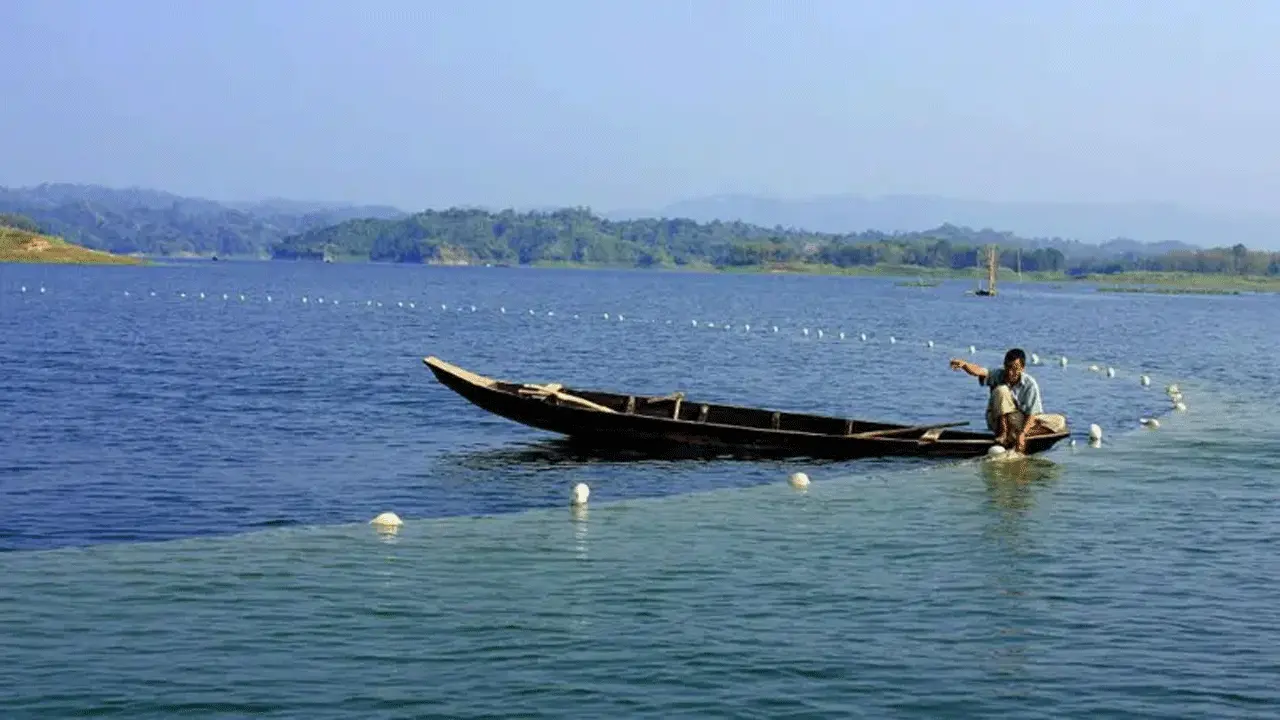 চাষের মাছে গন্ধ হয় কেন, কী করলে গন্ধ থাকবে না?