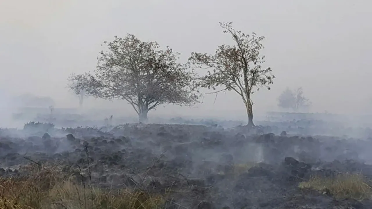 জার্মান সীমান্তের দিকে ছড়িয়ে পড়া দাবানল নিয়ন্ত্রণের চেষ্টায় বেলজিয়াম